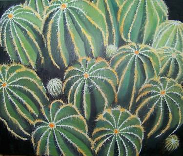 Les cactus de Lisilk thumb