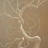 Collection Biophilic Art