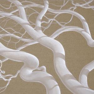 Collection Refined Atmospheres