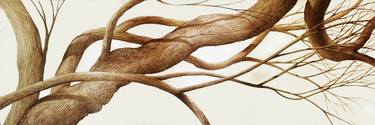 Original Figurative Tree Paintings by Christopher Elliot