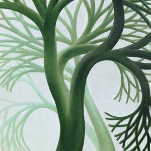 Collection Eco-Surrealism