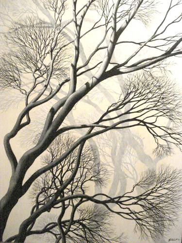 Original Tree Paintings by Christopher Elliot
