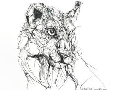 Original Illustration Animal Drawings by Cassandra Petruchyk