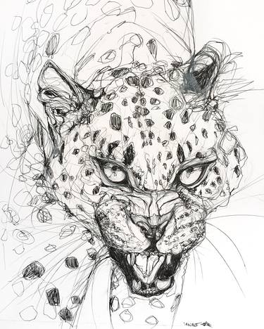 Original Abstract Animal Drawings by Cassandra Petruchyk