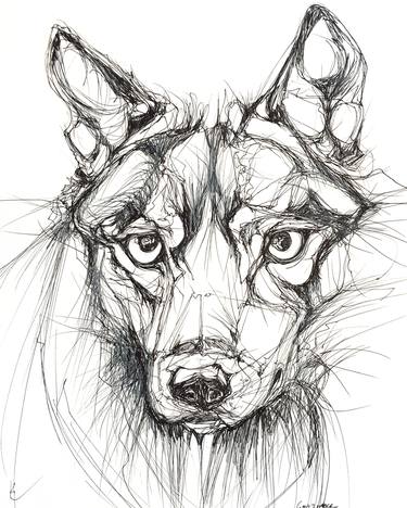Original Illustration Animal Drawings by Cassandra Petruchyk