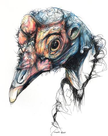Original Abstract Animal Drawings by Cassandra Petruchyk