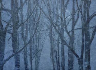 Print of Tree Paintings by Bekir Smolski