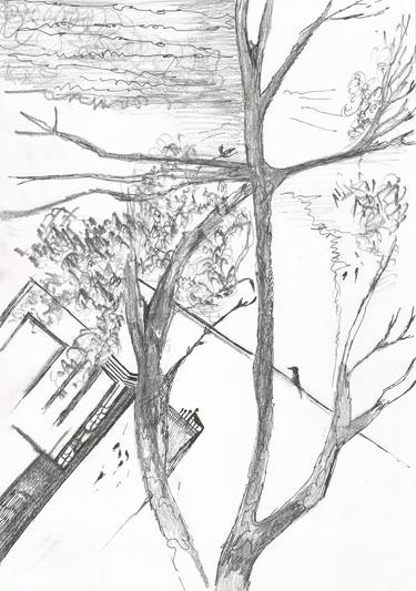 Print of Nature Drawings by salika virji