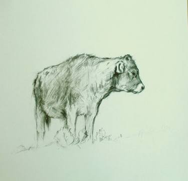 Original Animal Drawings by David Beglaryan