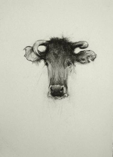 Original Animal Drawings by David Beglaryan