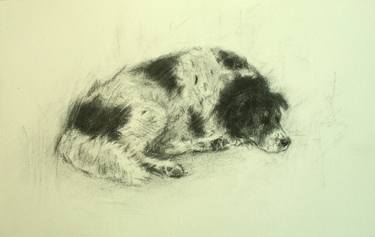 Lying Dog . (study for the painting) thumb