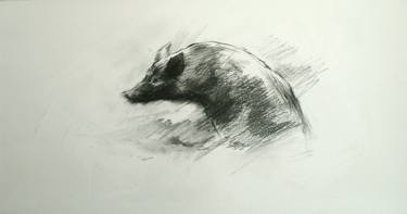 Original Realism Animal Drawings by David Beglaryan