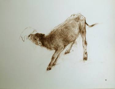 Original Realism Animal Drawings by David Beglaryan