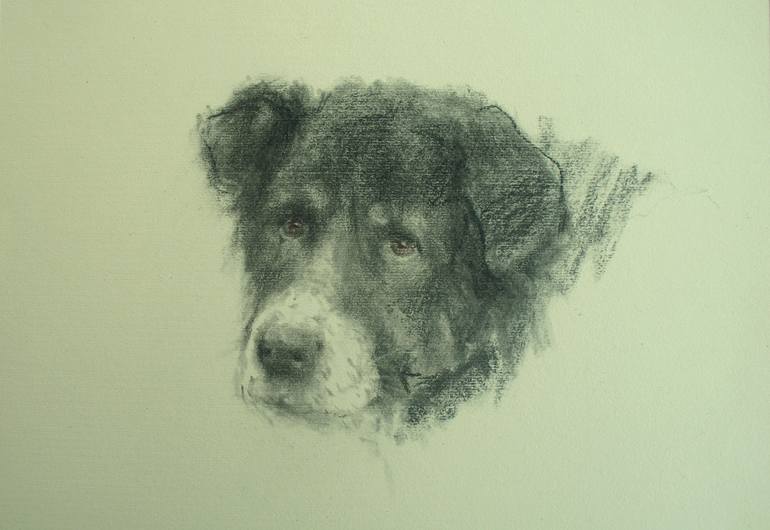 Original Dogs Drawing by David Beglaryan | Realism Art on Paper | A faithful friend