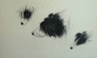Original Realism Dogs Drawings by David Beglaryan