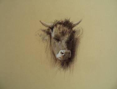 Original Fine Art Animal Drawings by David Beglaryan