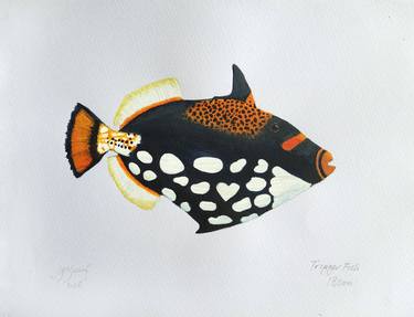 Print of Fish Paintings by John N Mason