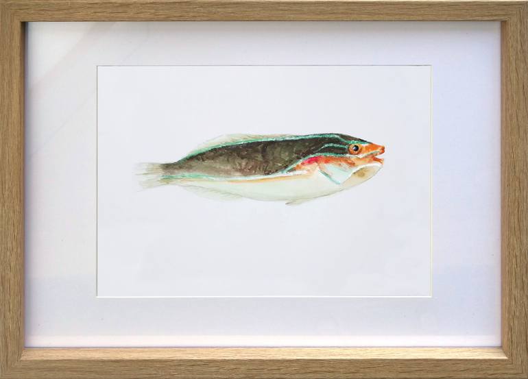 Original Fine Art Fish Painting by John N Mason
