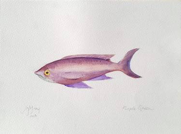 Print of Fine Art Fish Paintings by John N Mason