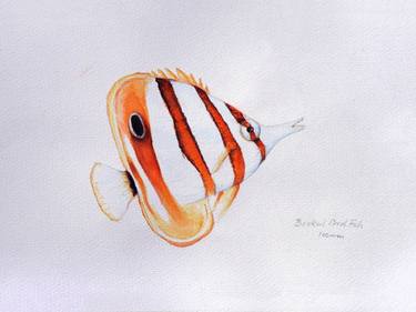 Original Fine Art Fish Paintings by John N Mason