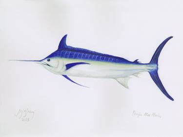 Original Realism Fish Paintings by John N Mason