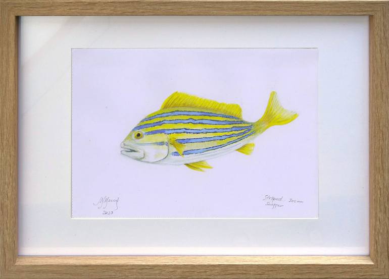 Original Fish Painting by John N Mason