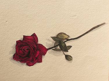 Watercolour Rose thumb