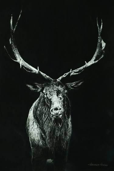 Print of Animal Drawings by Naveen Prakash Veeramuthu