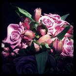 Collection Gifts for Newlyweds
