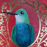 Collection Hummingbirds