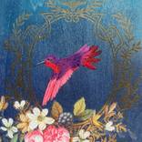 Collection Hummingbirds