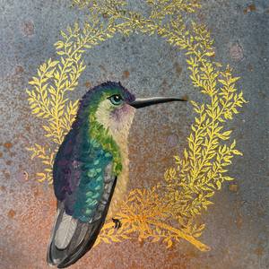 Collection Hummingbirds