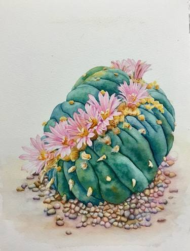 Cactus in bloom thumb