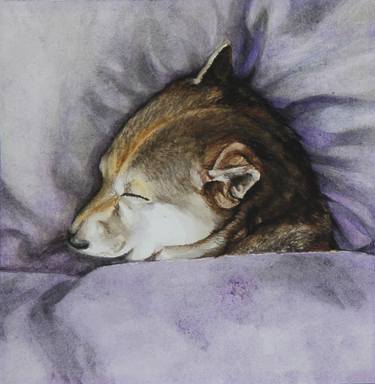 Shiba Inu puppy original watercolour painting realistic portrait, hand-painted art, gift, home, decor, lover, puppy, dog,wall art thumb