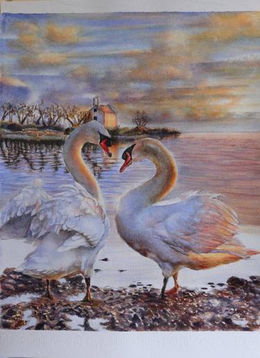 Swan original watercolour painting realistic landscape, hand-painted fine art, gift, decor, lover, river, bird, sea, sun set, sunraise thumb