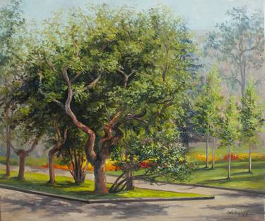 Original Fine Art Tree Paintings by Olha Yefimova