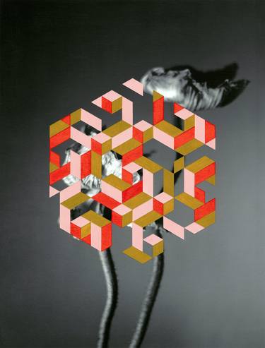"Florian Hetz – Untitled" CENSORED (Poppies), 2020 thumb