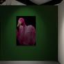 Pink Flamingo - Art Gallery