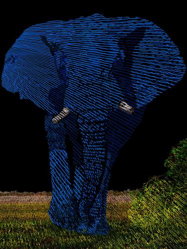 Elephant in the Savanna thumb