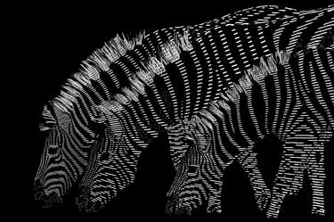 Original Fine Art Animal Digital by Vincent Zuniaga