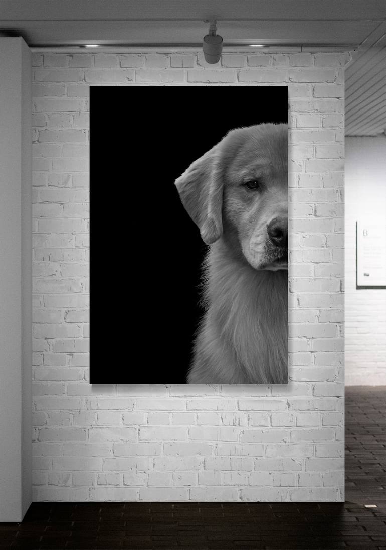 Original Fine Art Dogs Photography by Vincent Zuniaga