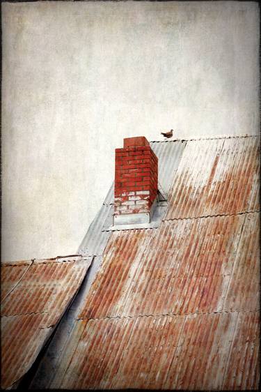 Dove On A Tin Roof thumb