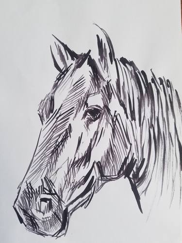 Original Abstract Horse Drawings by bm bundi