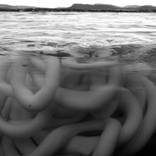 I can feel it in my Tangles by Mona Naess