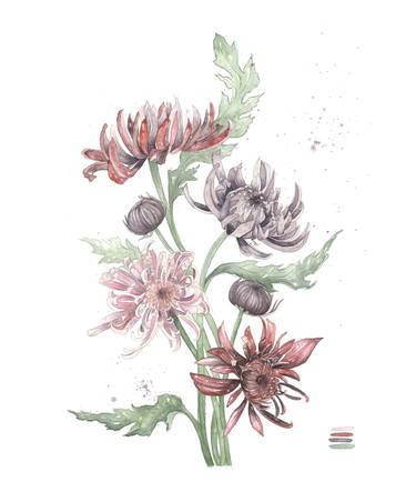 Print of Floral Paintings by Jessica Yelverton