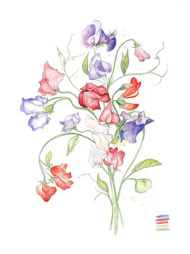 Original Botanic Painting by Jessica Yelverton