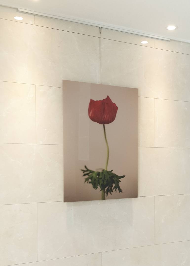 Original Photorealism Floral Photography by changwook you