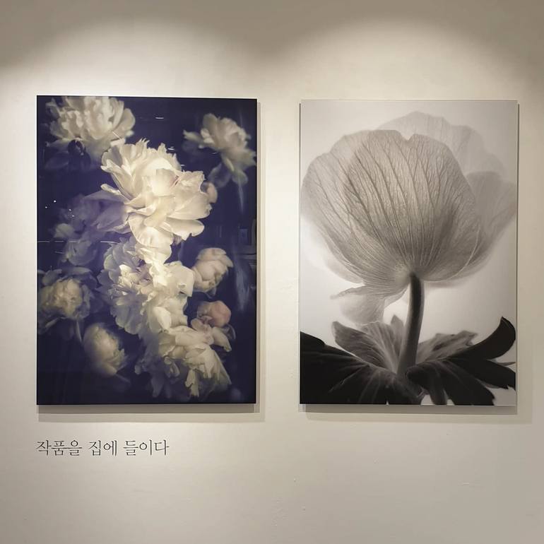 Original Fine Art Nature Photography by changwook you