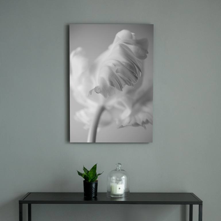 Original Other Botanic Photography by Changwook You
