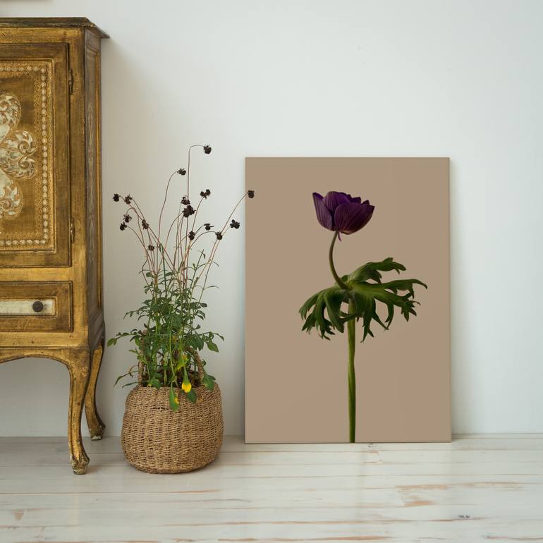 Original Other Floral Photography by Changwook You